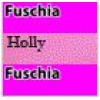 11 Fuchsia Body / Holly  Sleeves / Fuchsia Trim